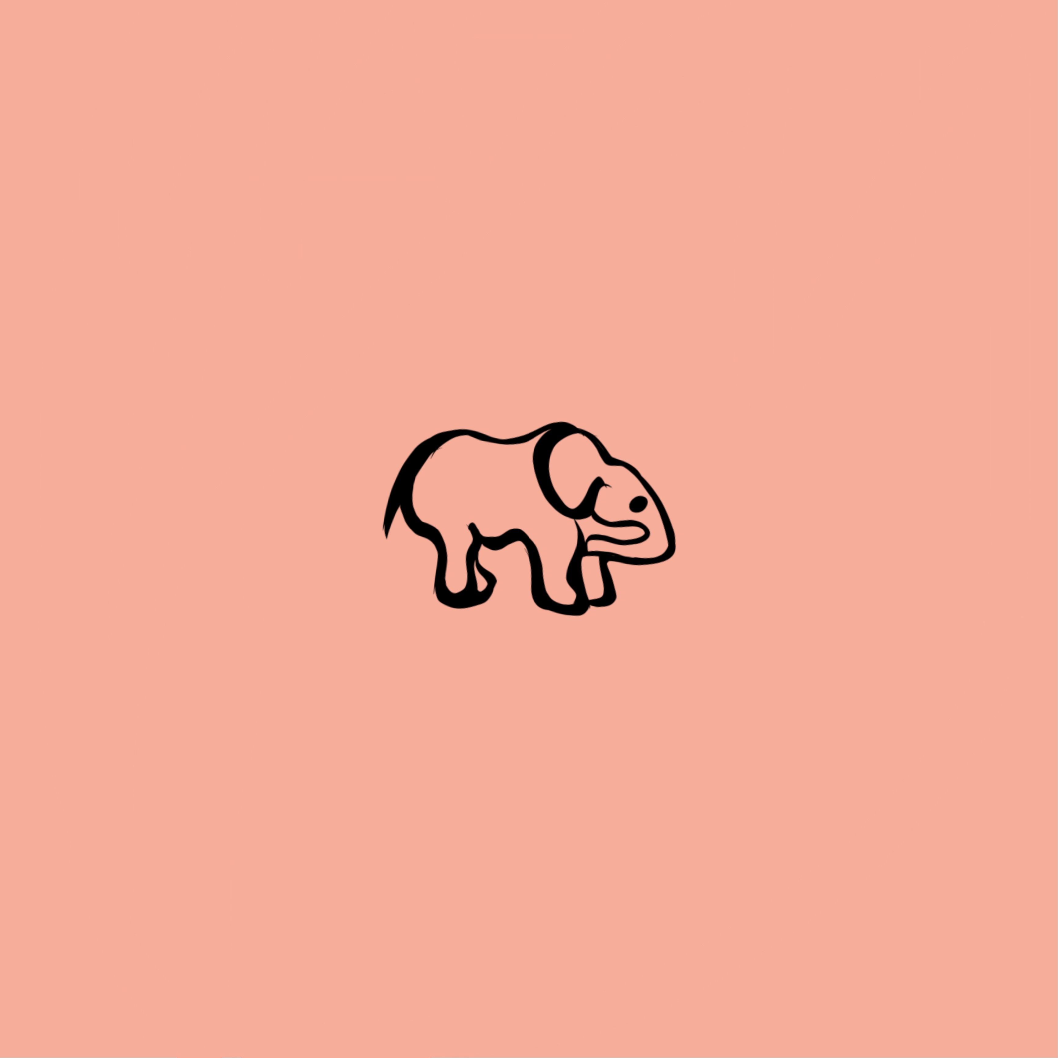 3464x3464 Shawn Mendes, Tattoo, Digital Drawing, Draw, Elephant, Pink