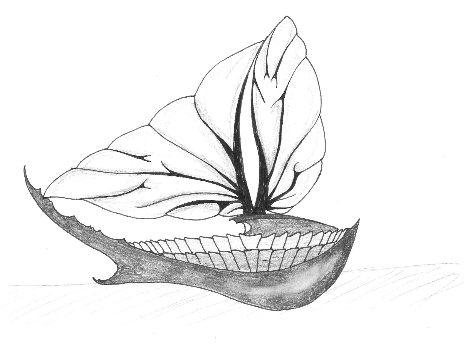 1600x1184 Greta Mongyik Photoshop