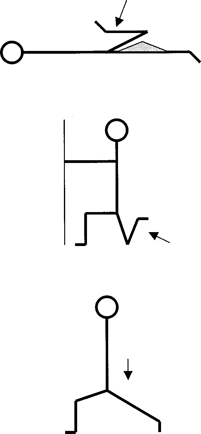 654x1406 Stretching Exercises Used In The Warm Up Download Scientific