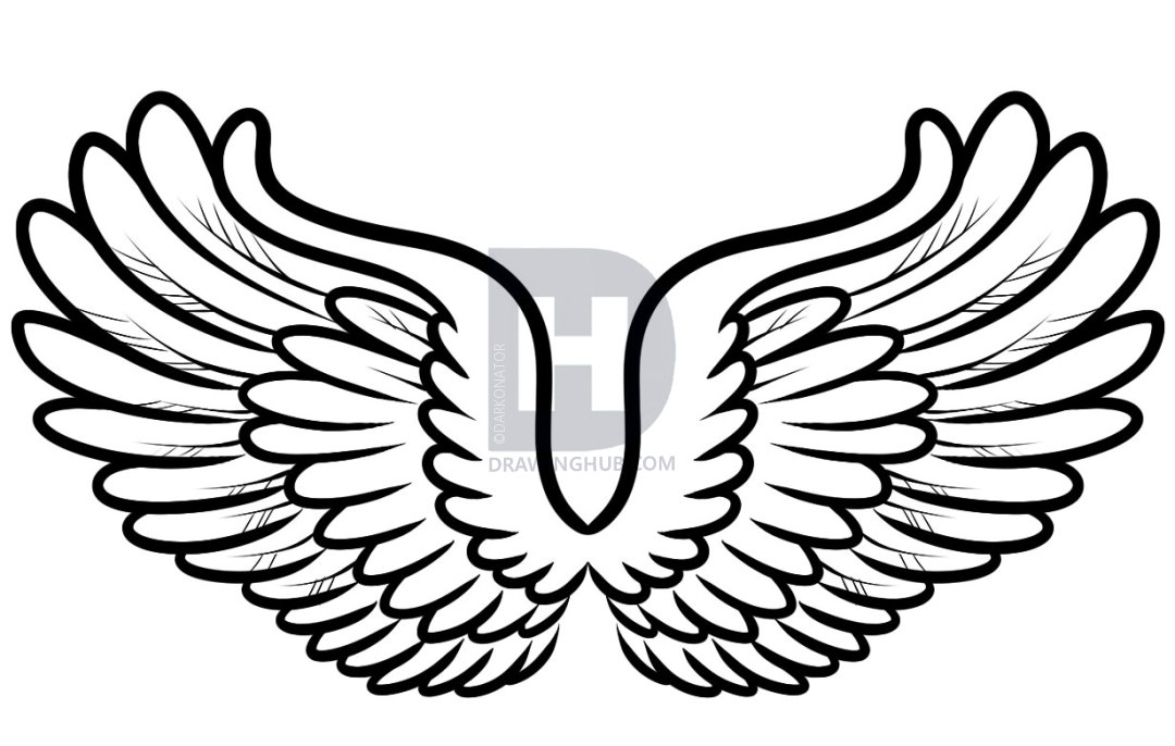 1080x686 How To Draw Cartoon Wings, Step