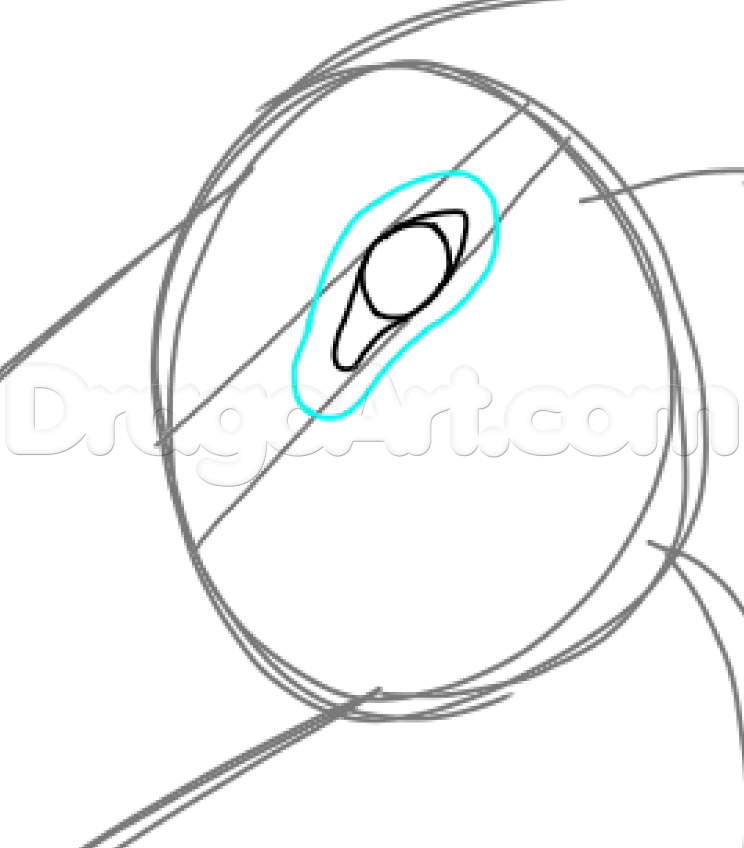 744x848 How To Draw Leafwing, Wings Of Fire, Step