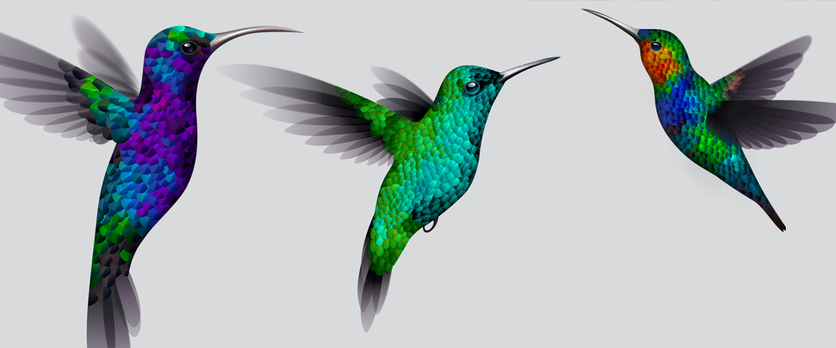 1200x500 Illustrator Experiment Making A Hummingbird Create