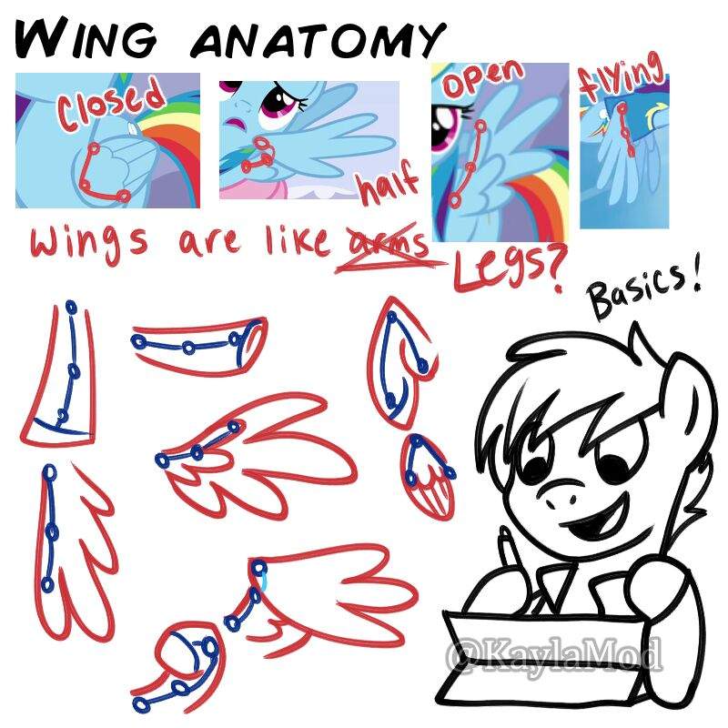 800x800 Drawing Tutorial Wings Equestria Amino