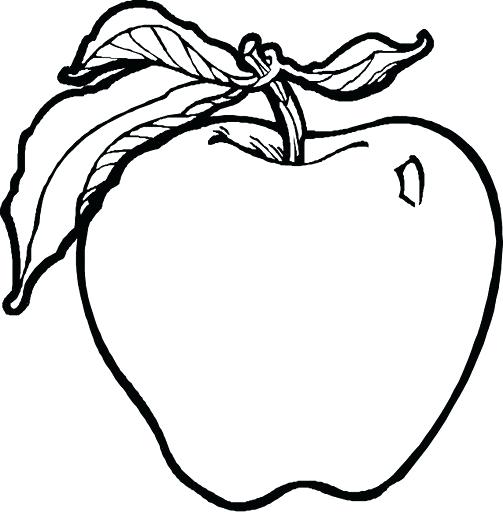 503x512 Fruits Drawing Worksheets Apple Coloring Worksheet Vegetables