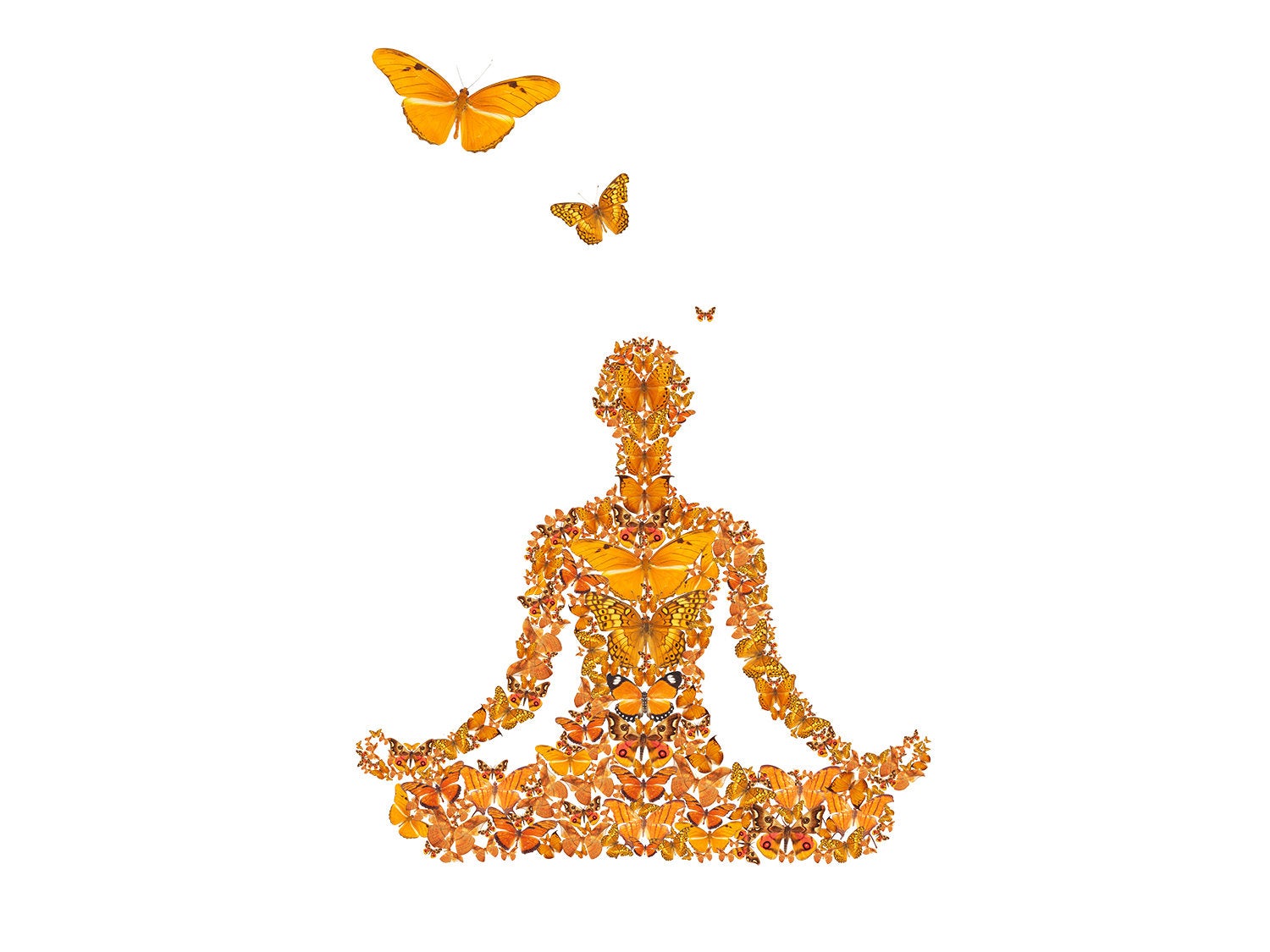 1500x1125 Digital Download Of Yoga Drawing Lotus Pose Yoga Etsy