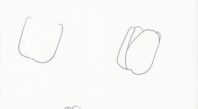 696x385 Flower Drawing Images Archives