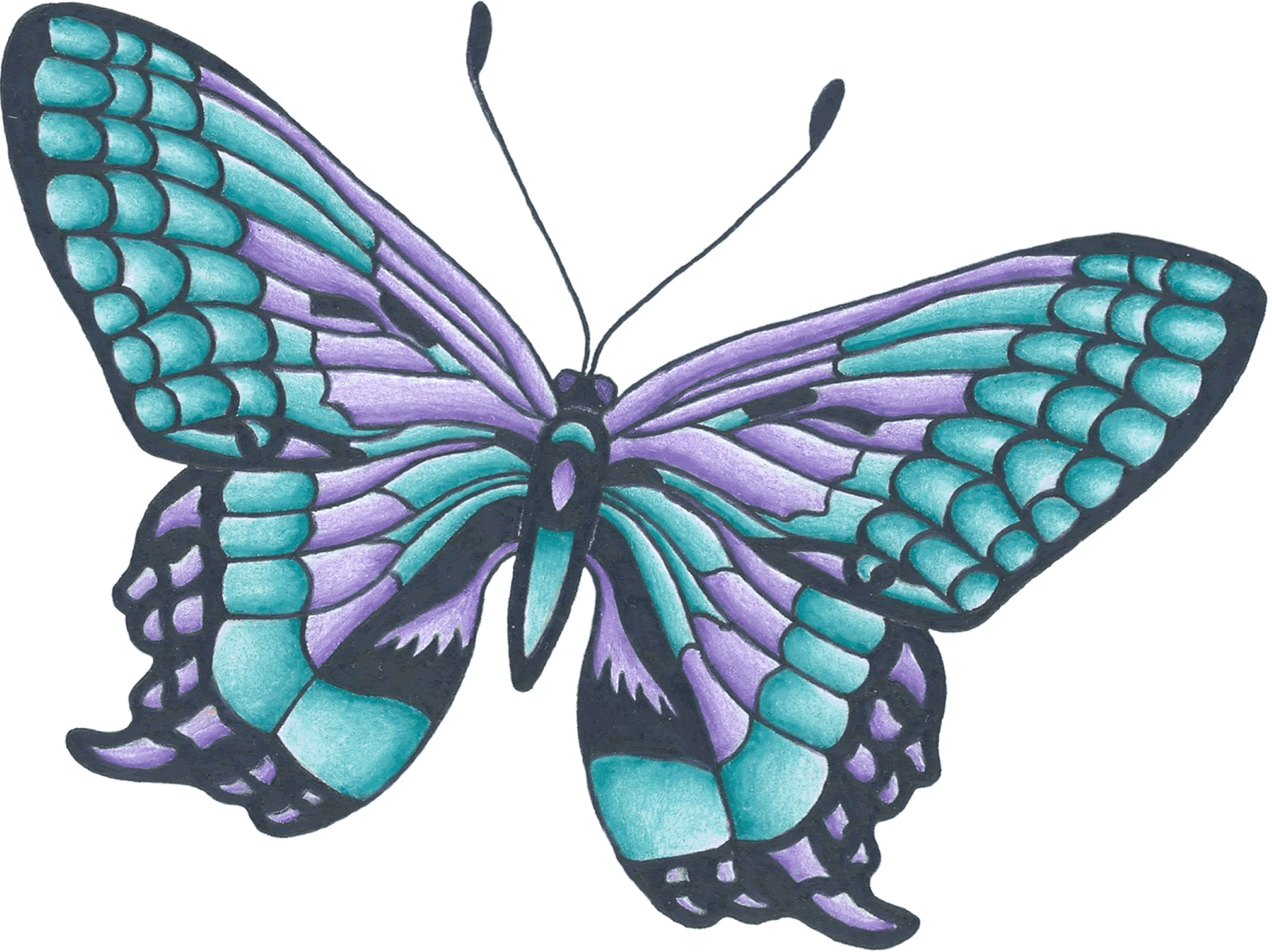 1894x1418 Collection Of Free Butterflies Drawing Beautiful Flower Download