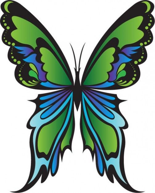 503x626 Flowers Drawings Inspiration Butterfly Clip Art Best Free
