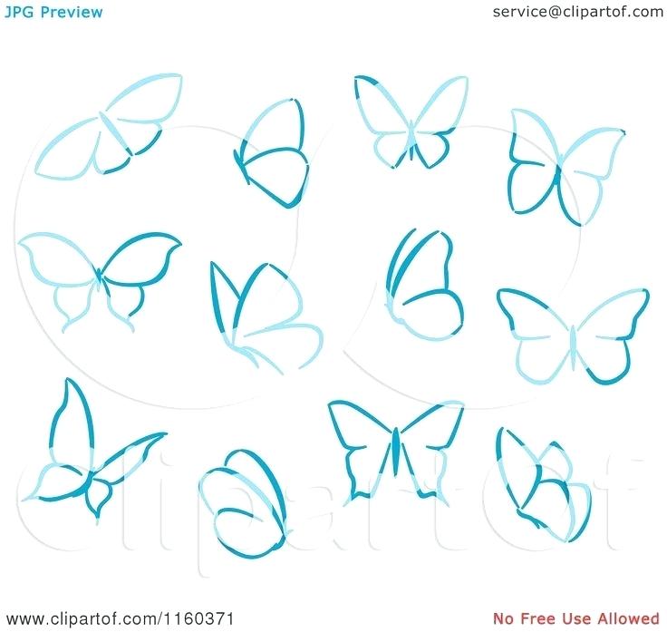 736x697 Sketches Of Butterflies Step