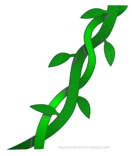 510x600 drawings of vines plant vines drawings