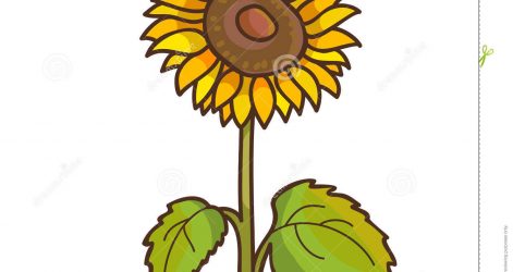 471x250 Flower Drawings Black And White Cartoon Tumblr Color Small Of Cars