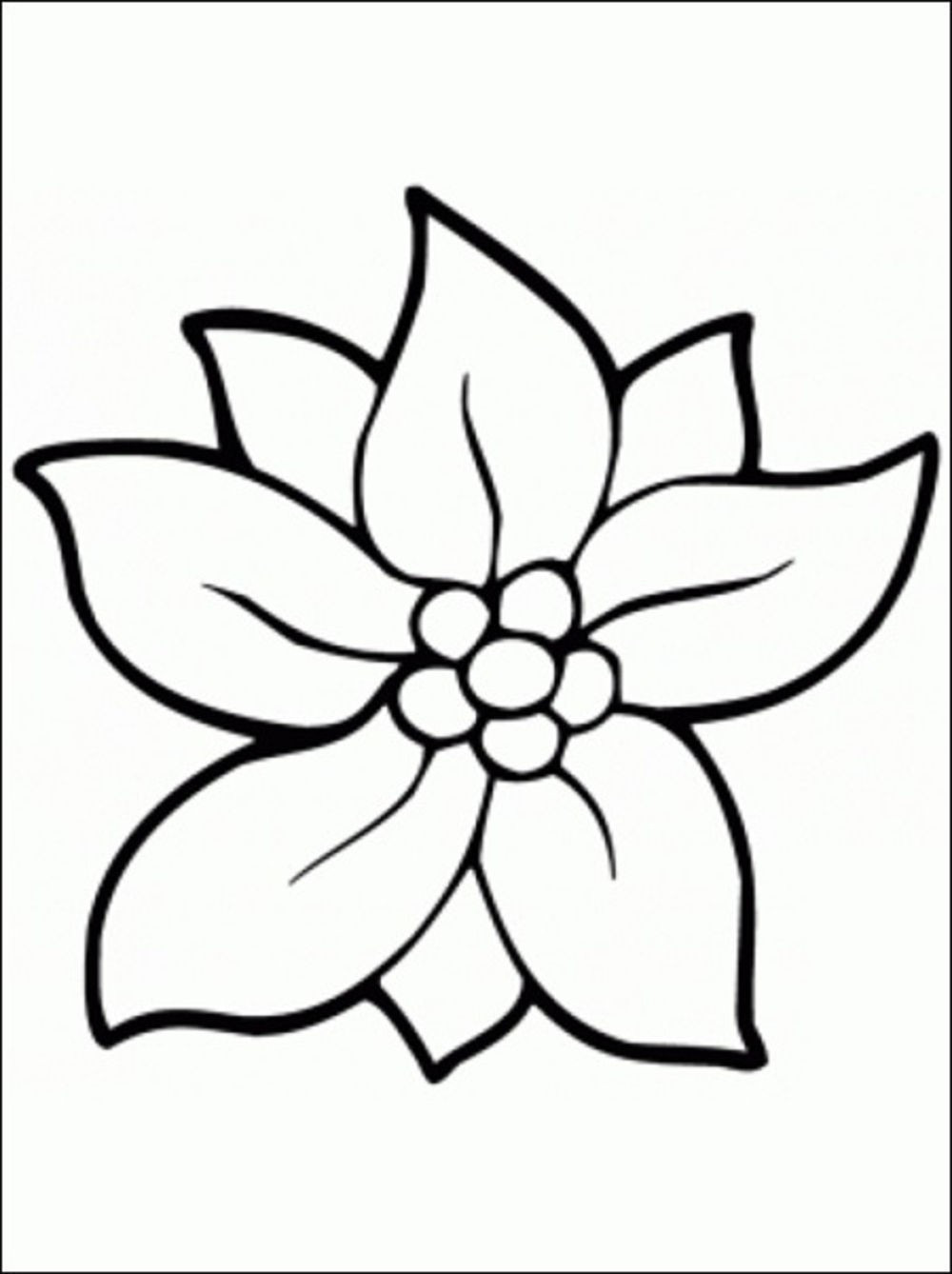 1000x1338 Pictures Of Flowers To Color