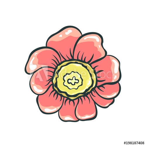 500x500 Vector Color Illustration Of Flower Pink Drawing Of A Plant