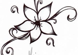 300x210 Cool Sketches Of Flowers Beautiful Flower Drawings