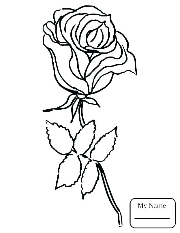 624x808 Hearts And Roses Coloring Pages
