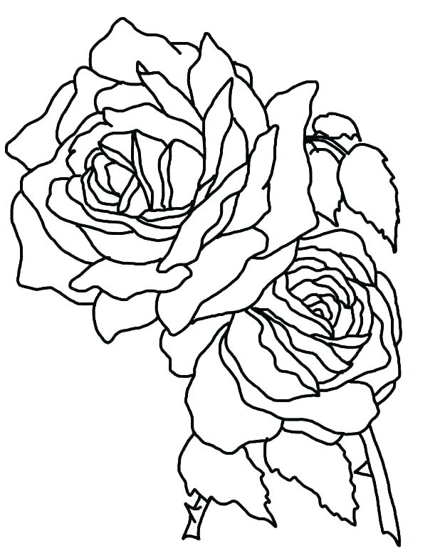 618x770 Coloring Pages Of Roses And Hearts Rose Heart Sheets