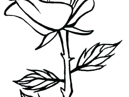 440x330 Coloring Pages With Hearts Coloring Pictures Of Hearts And Roses