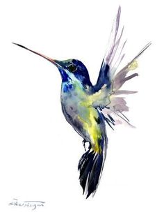 Drawings Of Hummingbirds And Flowers