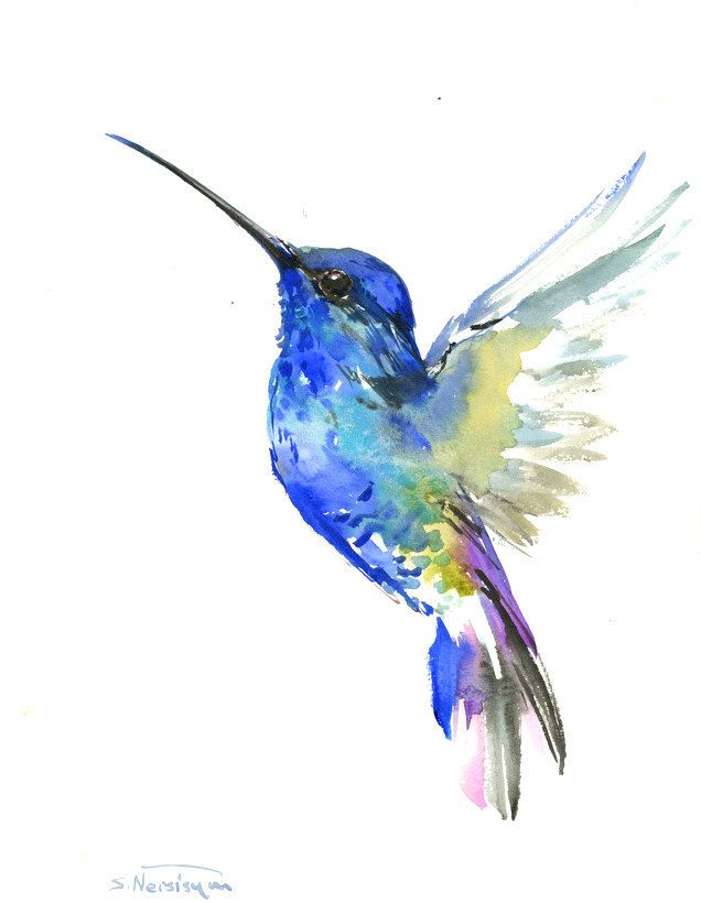 636x820 Flowers Drawings Inspiration Blue Hummingbird Painting, X