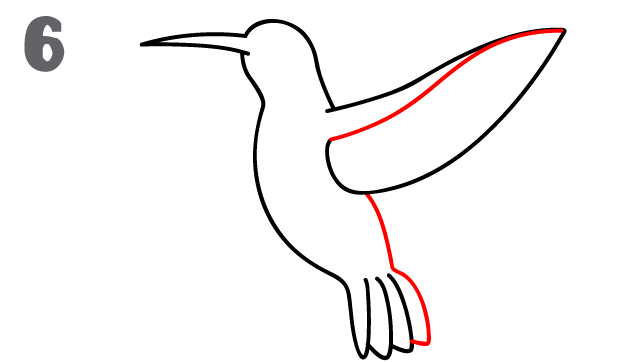 642x362 How To Draw A Hummingbird