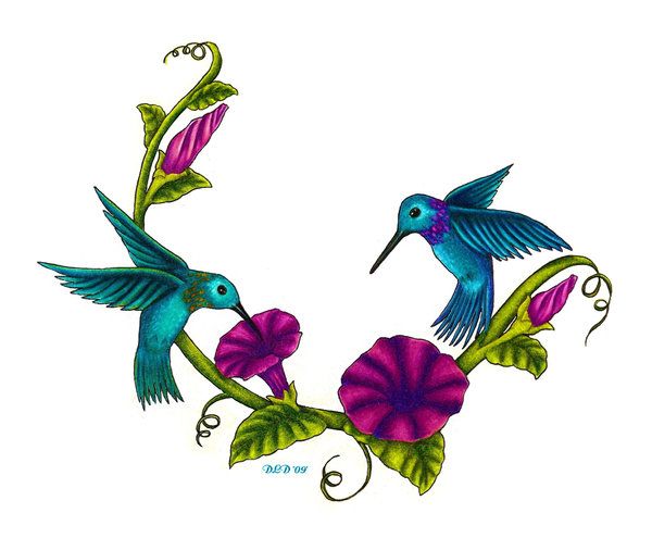 600x495 Hummingbird Clipart Flower Drawing
