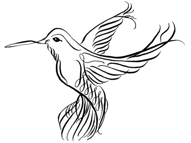 640x480 Hummingbird Clipart Flower Drawing