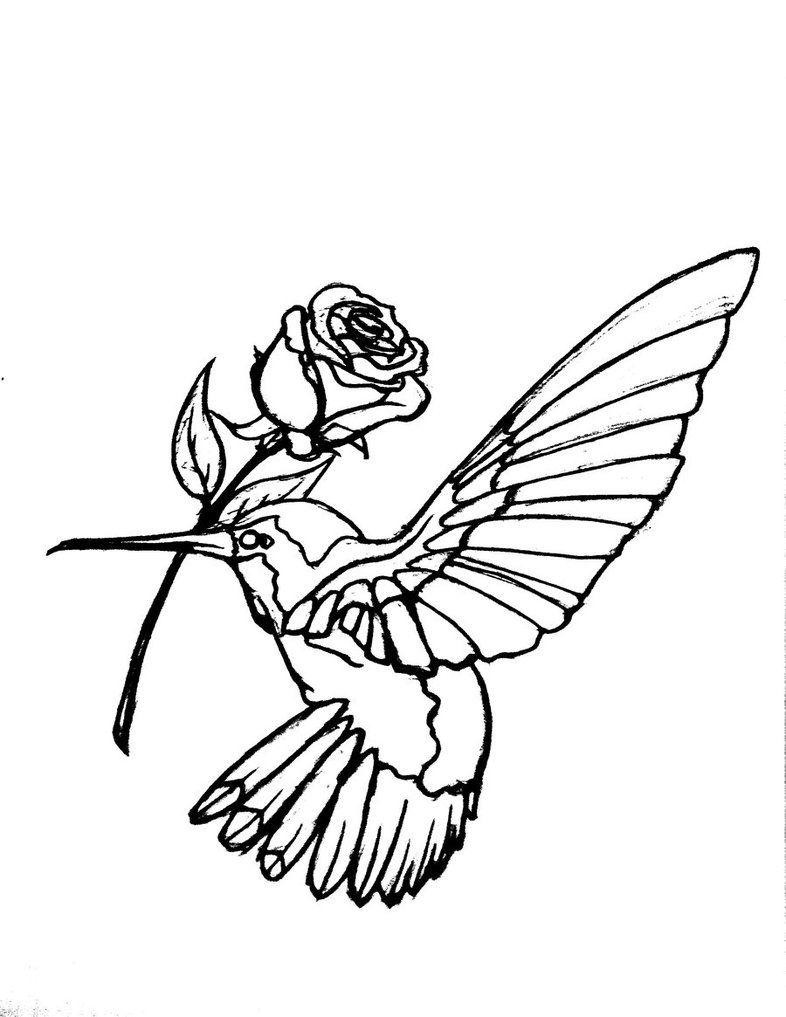 786x1017 hummingbird flower tattoo tattoos of hummingbirds hummingbird