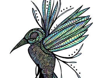 340x270 Hummingbird Drawing Etsy