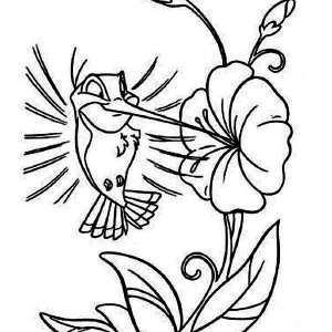 300x300 Kids Coloring Pages Hummingbirds