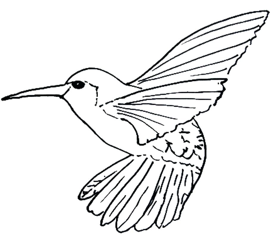 907x812 Coloring Pages Hummingbirds Flowers