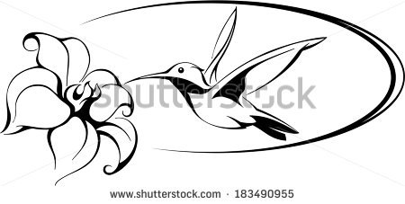 450x227 Drawings Of Hummingbirds And Flowers