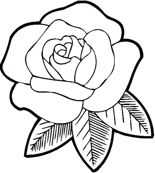 600x670 Rose Pictures To Color
