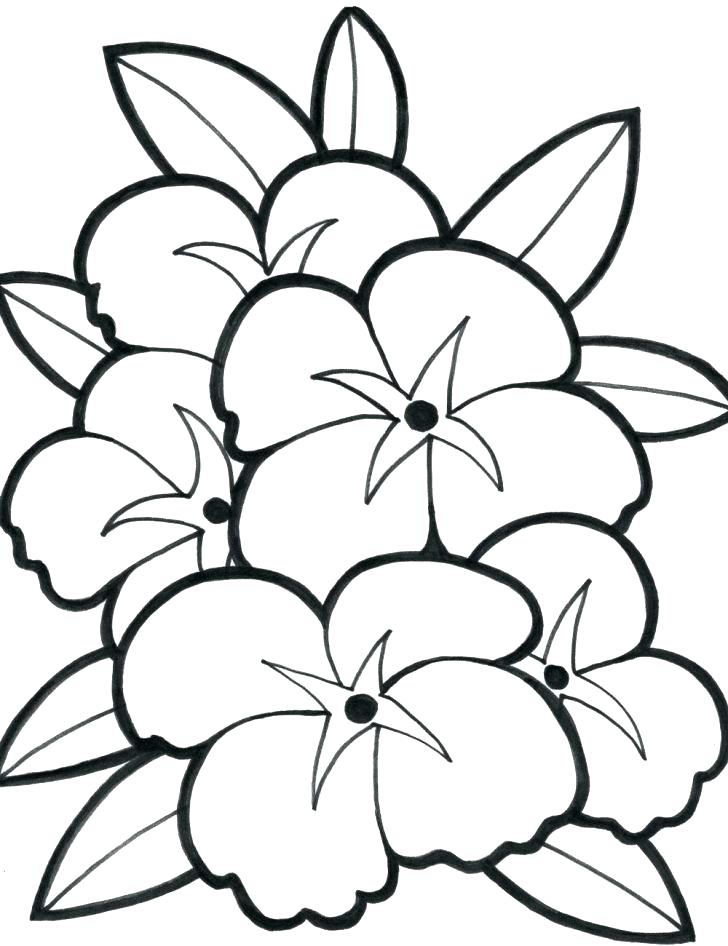 728x946 Flower Drawings To Print Flower Drawings To Print Black And White