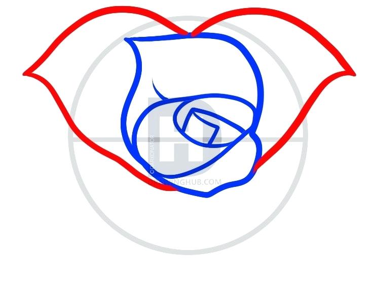 738x580 Hearts With Roses Drawings Coloring Love Hearts And Roses Drawings