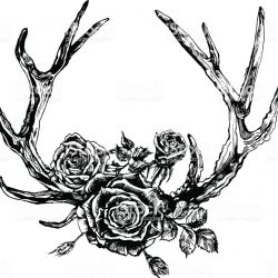 250x250 Antler Drawing Tutorial Dream Catcher Moose Caribou Buck Line