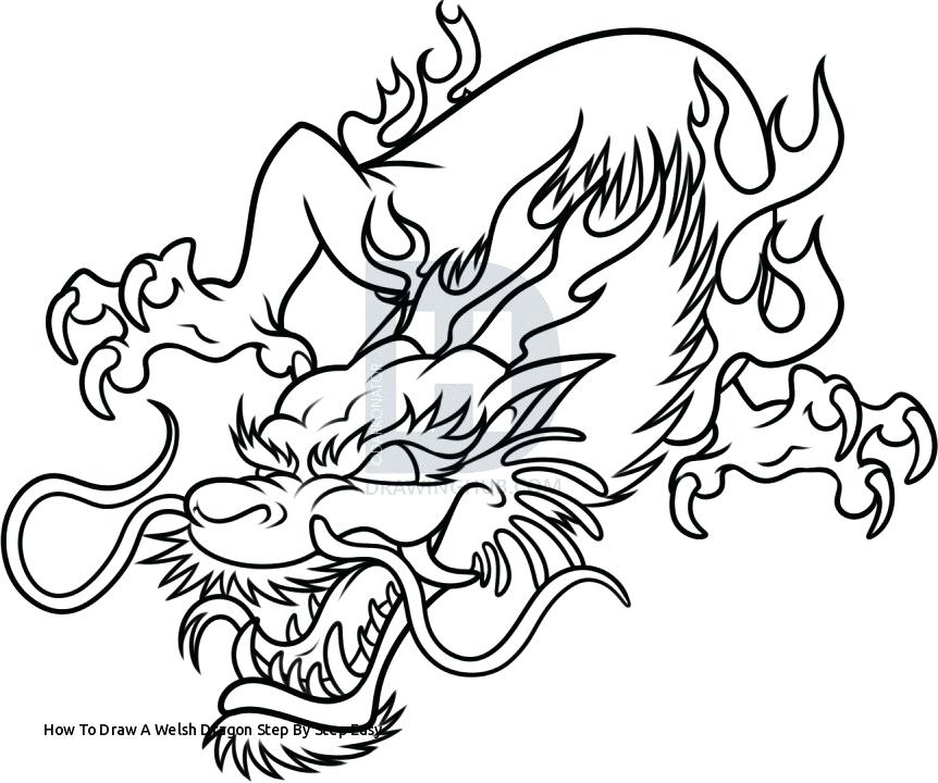 862x720 How To Draw A Easy Chinese Dragon How To Draw A Welsh Dragon Step