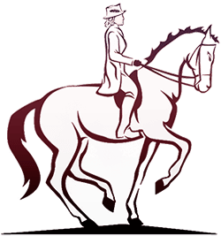 250x267 dressage lessons palm city, fl art of riding, llc