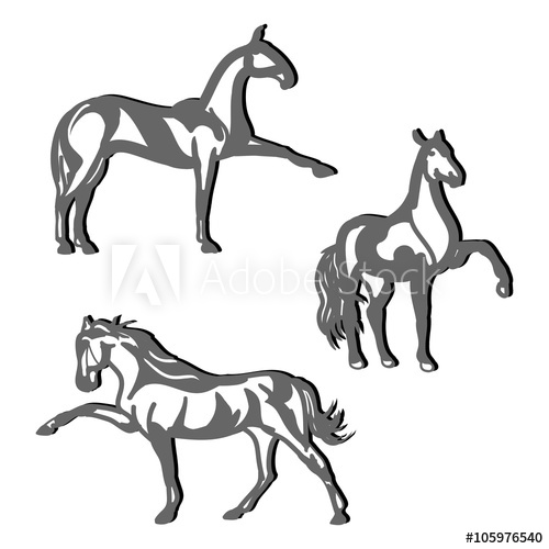 500x500 dressage horses