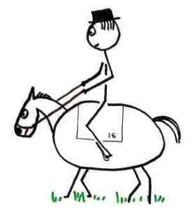 275x308 Equestrian Sports