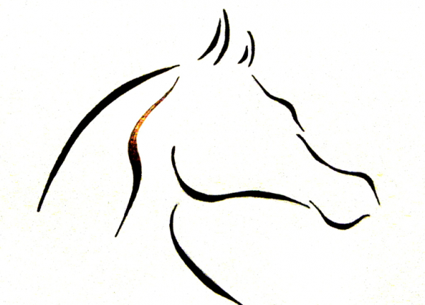 600x430 lyford stud dressage series entry and online booking