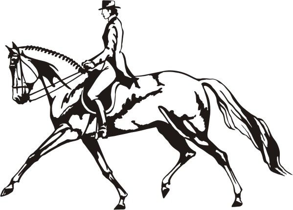 599x431 Waitemata Rodney Area Pony Club