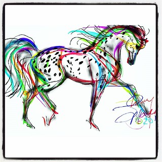 320x320 Appaloosa