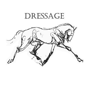 360x360 Dressage Horse Sticker