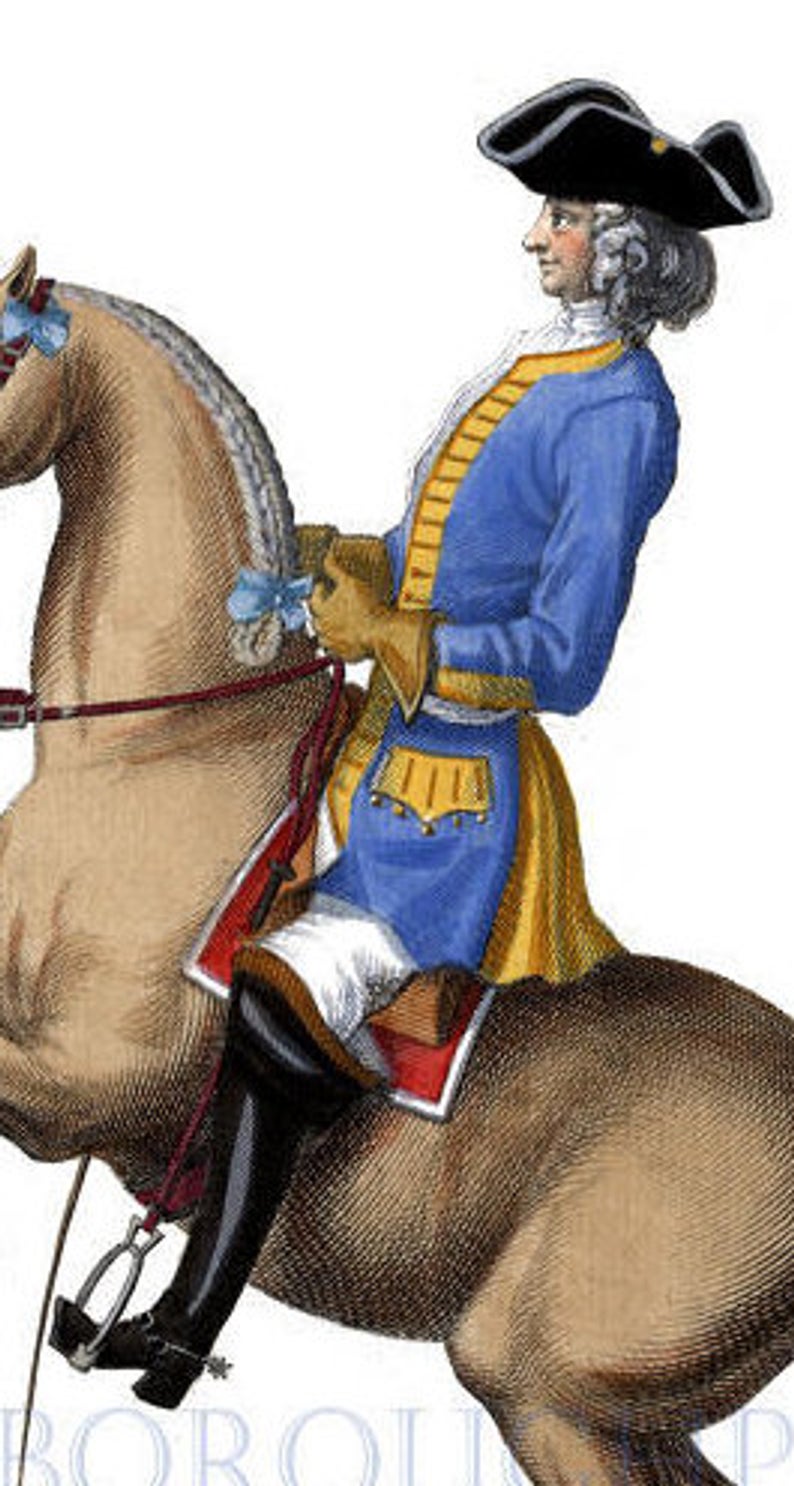 794x1486 Equestrian Dressage Horse Print Horse Riding Vintage Drawing Etsy