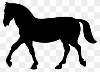 320x232 Horse Equestrian Silhouette Dressage Collection