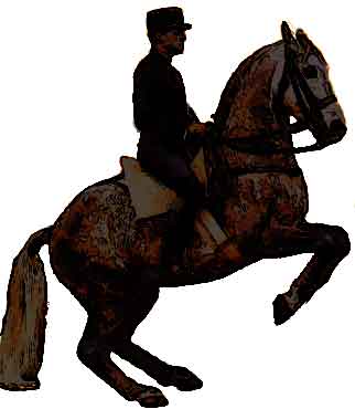 322x370 Sustainable Dressage