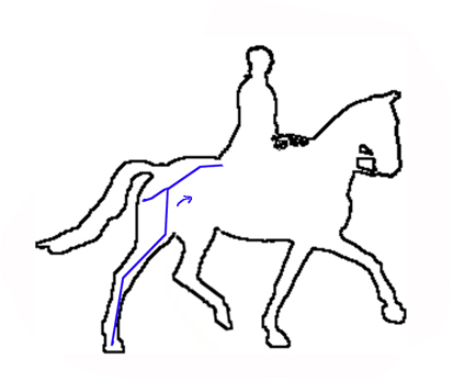 413x347 The Horse's Balance