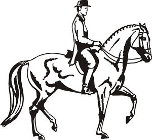 300x278 Dressage Sticker Decal For Car, Ute, Horse Float Ebay