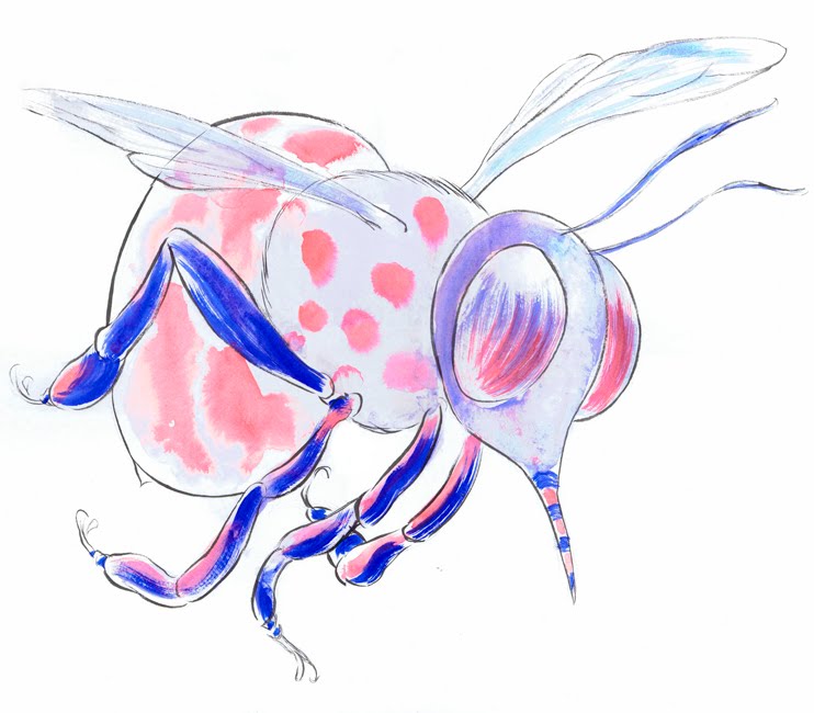 742x650 jed alexander the bee class today