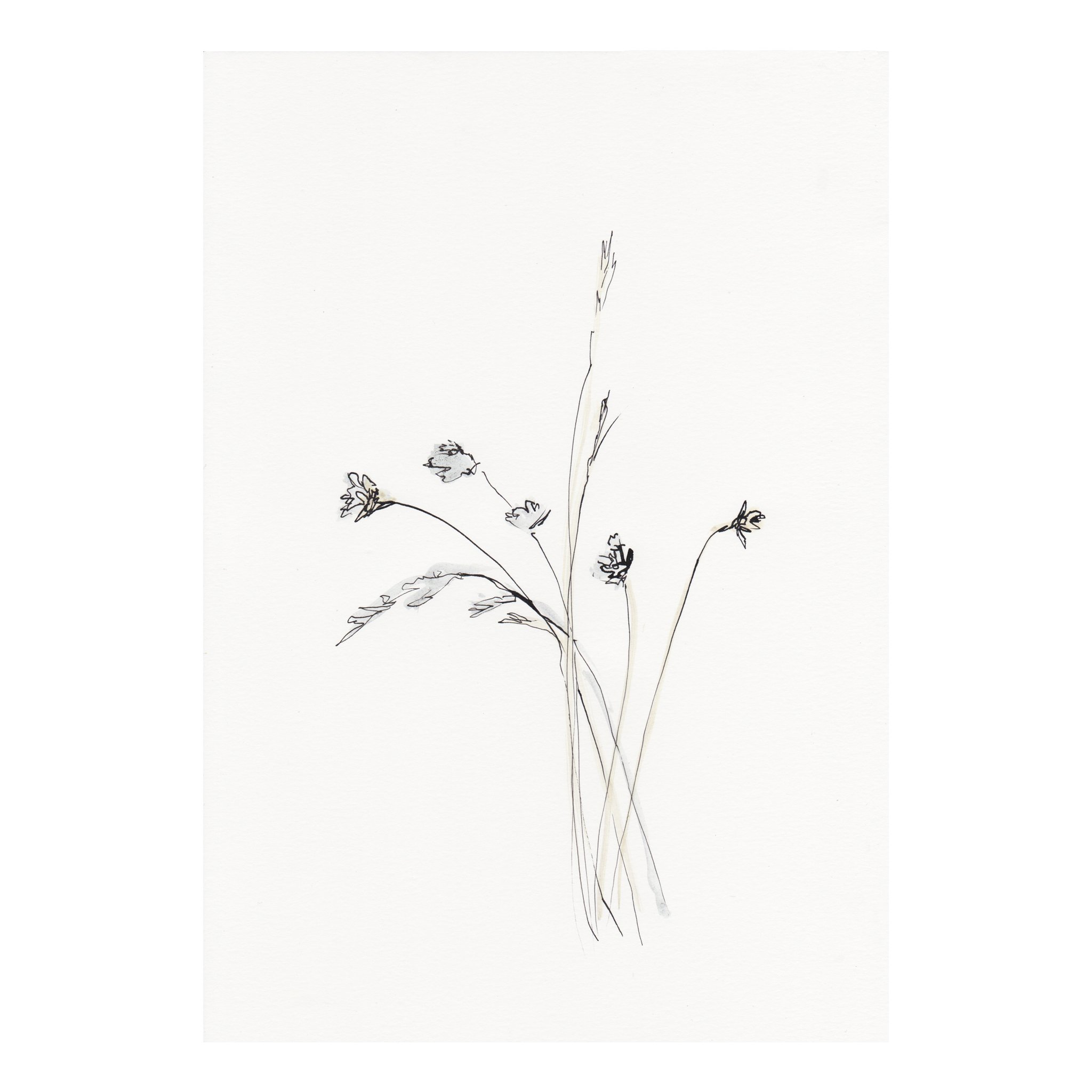 2048x2048 Drift Zena Hamon